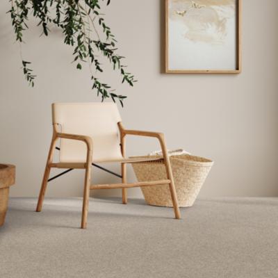 grey carpet in living room with wooden chair.